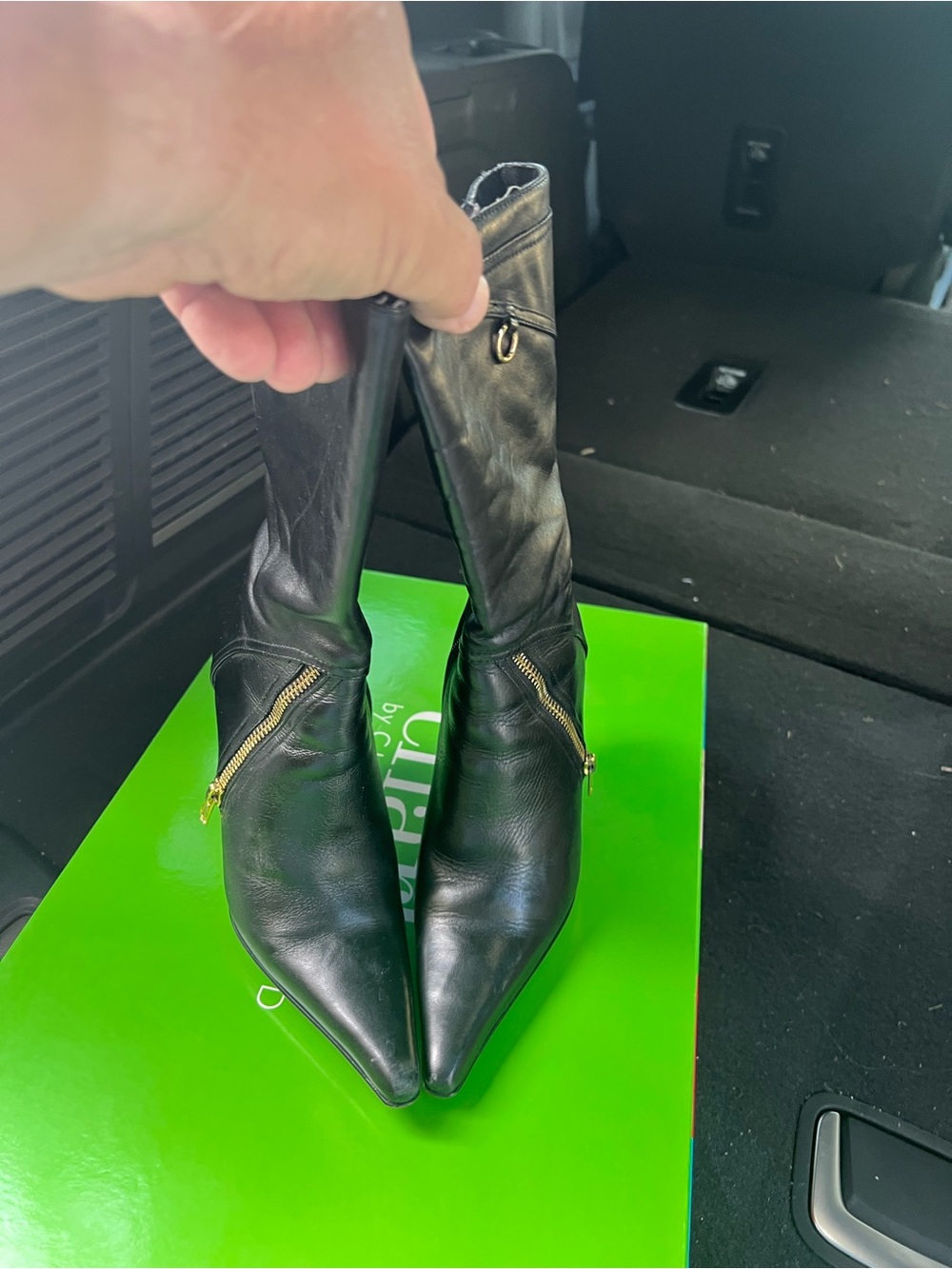 Charles By Charles David Black Pointed-Toe Ankle Boots with Gold Zippers
